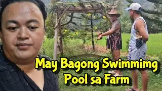 MAY BAGONG SWIMMING POOL SA FARM NI @BrendaMageOfficial  DAMING PLANO / MOMSHIE G