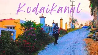 Did I just try Magic Mushrooms in Kodaikanal? | Tamil Nadu | India