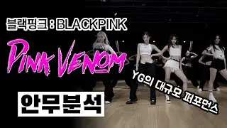 대한민국을 대표하는 걸그룹 블랙핑크의 개간지 퍼포먼스! 핑크 베놈의 안무를 분석합니다 ⎮ BLACKPINK ⎮ PINK VENOM ⎮ ENG