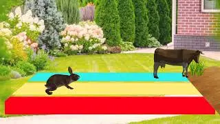 Crossing Fountain Transformation with Puppy,Cow and Rabbit Zombie T-rex