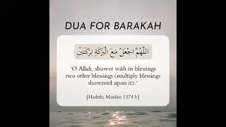 Dua for Barakah #allah #islamicprayer #dailyhadiths #rizqmnbarkat #islam #barakah #barakahinlife