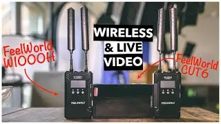 Wireless Video for Live Streaming: #FeelWorld CUT6 and W1000H