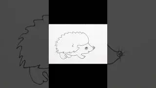 How to draw Hedgehog #drawing #art #shortvideo #shorts