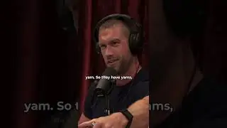 Chris Williamson: Unusual Ways Humans Compete for Mates #joerogan #jre #shorts