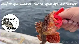 How to catch: rockfish, sculpin, calico bass, sandbass