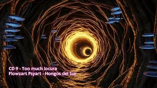 CD 9 - Too much locura - Hongos de Chile 2025 Psytrance - Flowzart Psyart