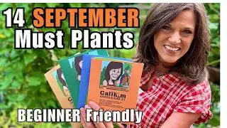 14 Must Plant September Vegetables for Fast Fall Harvests (Beginner Friendly!)
