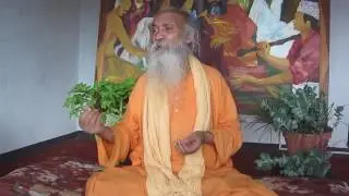 The Gita Explaination by Gurudev  Swami Chandresh in English  First day   Part 2