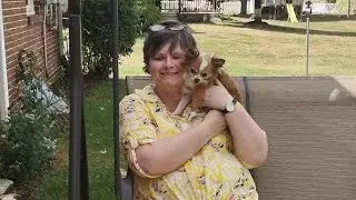 Fun With Grandma Soup Unboxing Restoq Mystery Box