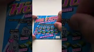 Quest to become a Millionaire by playing the Lottery (Day 71)