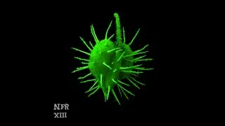 Mslwte - She's Unbalanced - NFR012