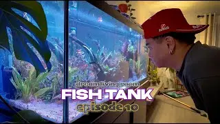 Adding Plants for my 75 Gallon Fish Tank | Episode 10