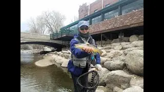 My Favorite Town Salida CO Arkansas River Walk Fly Fishing