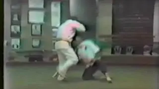 Master Seiyu Oyata - tuite demonstration 3x3
