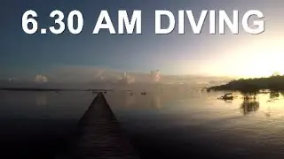 #Balidiving# morning Jetty dive....again & again