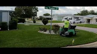 Leave the lawn to us pest control