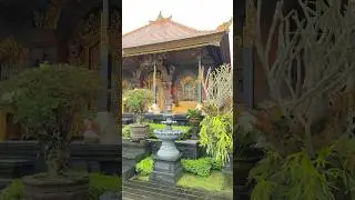 🌿Peaceful Bali House with Stunning Bedugul Lake & Mountain Views #Bali #shorts #traditionalhouse