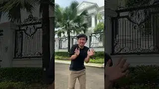 Ada Sapi Ngamuk