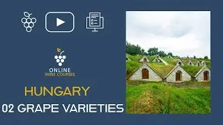 02 Grape Varieties | Hungary 🍇Online Wine Courses ➡️ with QUIZ