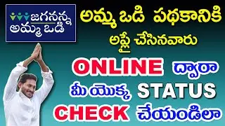How to Check AMMA VODI Scheme Status Online in Telugu