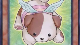 1RST PLACE FLUFFAL DECK PROFILE UNDEFEATED 5-0