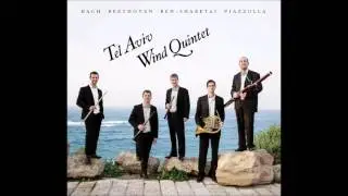 Bach Trio Sonata BWV 525 (adagio) - Tel Aviv Wind Quintet / חמישיית תל-אביב