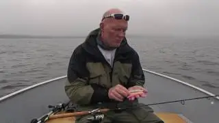 Shiftr Shad Review