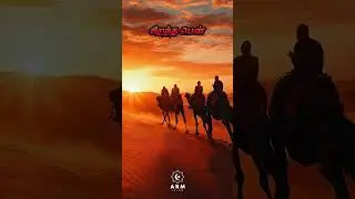 ஆயிஷா ரலியல்லாஹு அன்ஹா யார்? 👆❤ | ISLAMIC TAMIL BAYAN | ABDUL BASITH BUKHARI | BAYAN SHORT VIDEO
