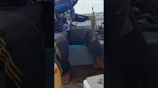 hampir tak sempat di rekam kawan kawan #mancing #mancingmania