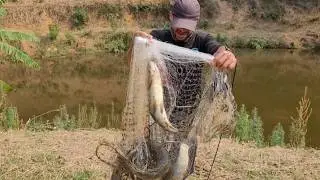 Pescaria de tarrafa no paraíso das traíras... #peixefrito
