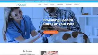 Create Veterinary Clinic Website Using Webnobby Online Web Builder!