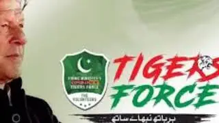 Tiger force update new