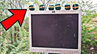 TV का तो काम तमाम | LED TV Vs Diwali sutli | Top awesome experiments