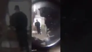 Жде догз жде свад