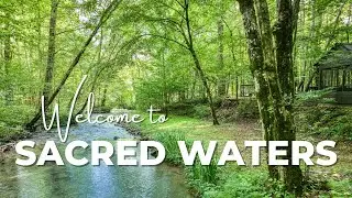 Sacred Waters ~ Ellijay ~ A Pet-Friendly North Georgia Vacation Rental