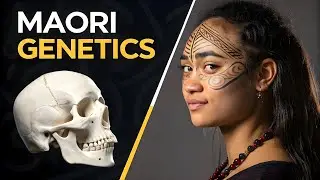 Why The Maori DNA Is So Unique?