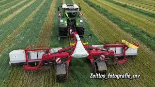 Roggen H&auml;ckseln mit einer H&auml;cksel kollone die sich sehen lassen kann. Ganzenm&uuml;ller Agrar im Einsatz.