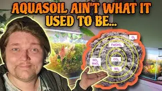 AQUASOIL: Why You May Want to Take a DEEPER Look BEFORE Using it: Aquarium Substrates Pros & Cons