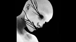 Grey Matter - LOST