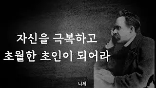 니체가 주는 위로 없는 인생 수업