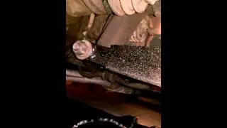 VIDEO0040