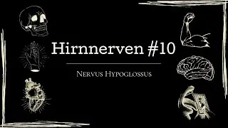Nervus hypoglossus - Oder: Wie geht Zunge?