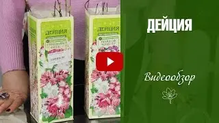 Чубушник и дейция ➡ Что посадить в саду?