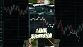 From Beginner to Pro Trader | Nexskill Trading Boot Camp