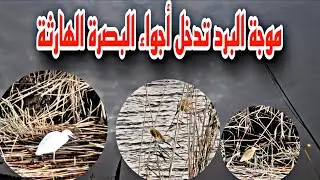 موجة البرد تدخل أجواء البصرة الهارثة #أحمد_مهدي 