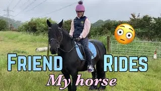 MY FRIEND RIDES MY HORSE|Pt 1|TheFellPony