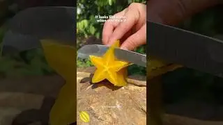 #starfruit : Surprising Health Benefits & How We Eat It 🌟 #shorts