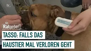 Tasso: Kostenlose Haustier-Registrierung | Die Ratgeber