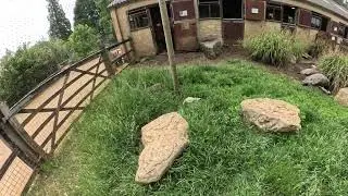 Cotswold Wildlife Park 2025