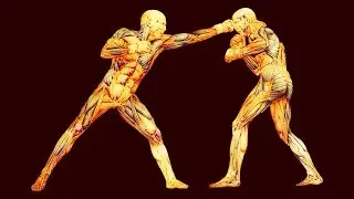 Use your body wisely - 